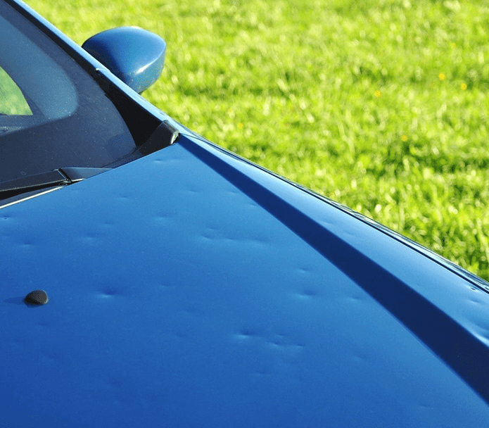 A close up of the hood and windshield on a blue car.